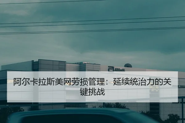 a-er-ka-la-si-mei-wang-lao-sun-guan-li-yan-xu-tong-zhi-li-de-guan-jian-tiao-zhan-2-994.jpg