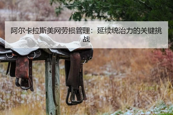 阿尔卡拉斯美网劳损管理：延续统治力的关键挑战
