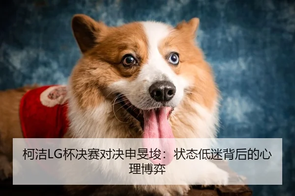 柯洁LG杯决赛对决申旻埈：状态低迷背后的心理博弈