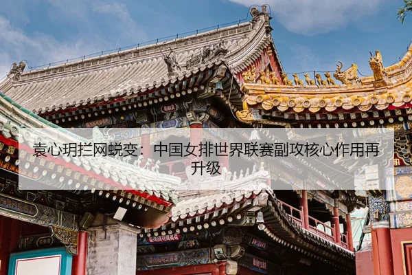 yuan-xin-yue-lan-wang-tui-bian-zhong-guo-nv-pai-shi-jie-lian-sai-fu-gong-he-xin-zuo-yong-zai-sheng-ji-3-178.jpg
