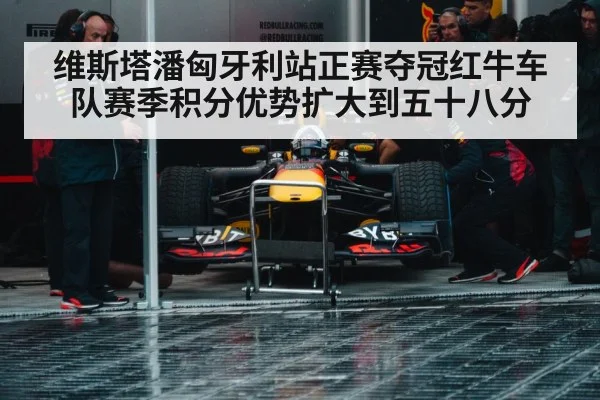 维斯塔潘匈牙利站正赛夺冠红牛车队赛季积分优势扩大到五十八分