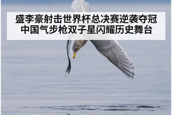 盛李豪射击世界杯总决赛逆袭夺冠中国气步枪双子星闪耀历史舞台