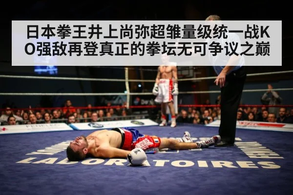 boxer knockout