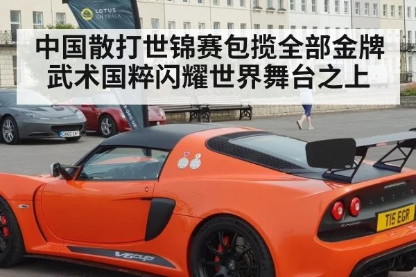 中国散打世锦赛包揽全部金牌 武术国粹闪耀世界舞台之上