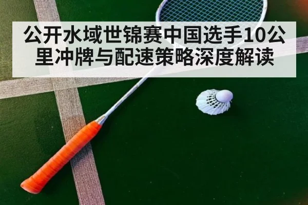 公开水域世锦赛中国选手10公里冲牌与配速策略深度解读